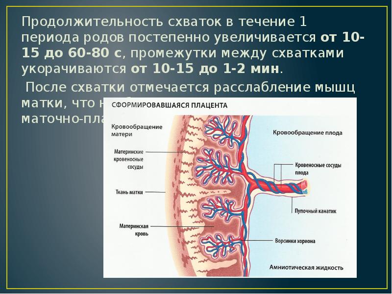 Течение родов. Течение 1 периода родов. Периоды течения родов. Клиническое течение 1 периода родов. Нормальное течение родов по периодам.