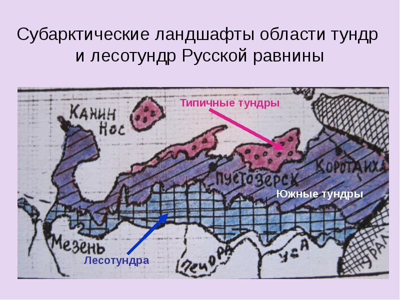 Карта россии с тундрой