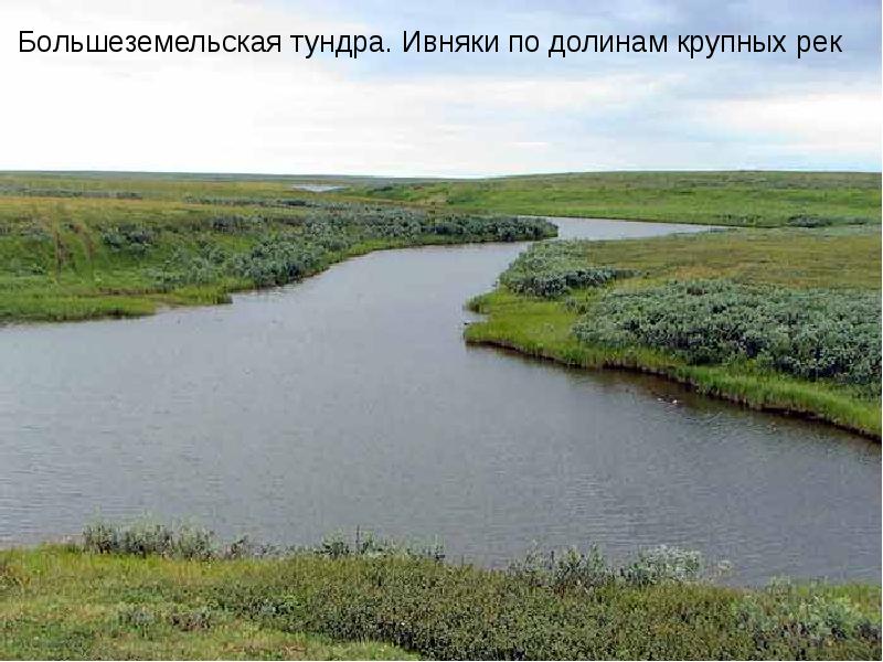 Крупнейшие озера русской равнины. Большеземельская тундра. Большеземельская тундра это низменность. Тундра русской равнины. Реки лесотундры.
