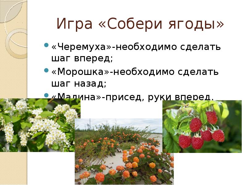 Какие ягоды собирали в рассказе конь. Собери ягоды. Какие ягоды собирали ребята. Собирание ягод реферат. Сочинение как я собирал ягоды.