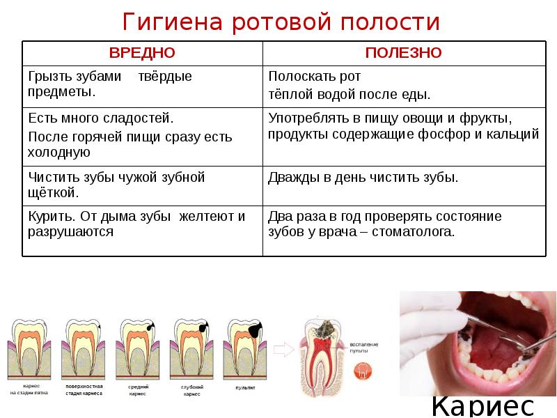 Гигиена полости рта проект 9 класс