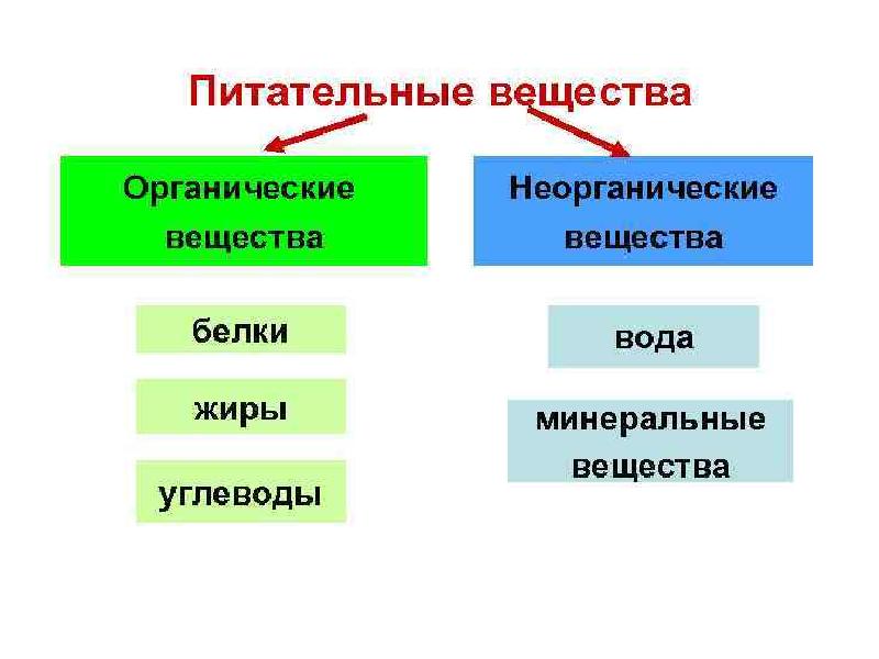 Органическая и неорганическая химия. Отличие органических веществ от неорганических соединений. Органические и неорганические вещества. Органические и неорганические вещества химия. Разница органических и неорганических веществ.