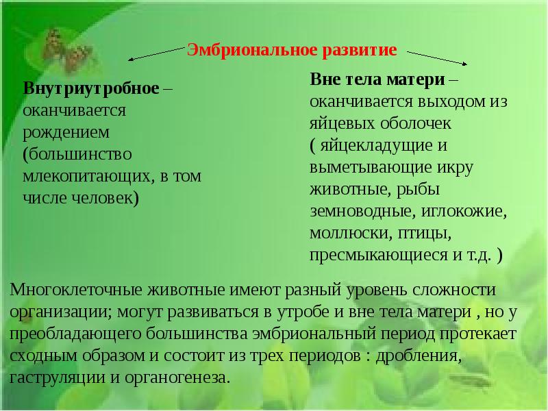 Индивидуальное развитие организма презентация 9 класс