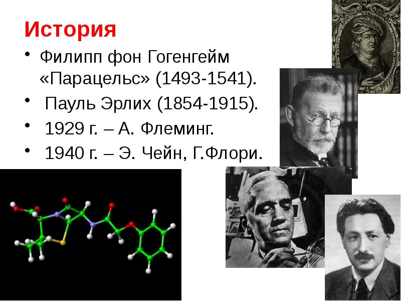 В паули презентация