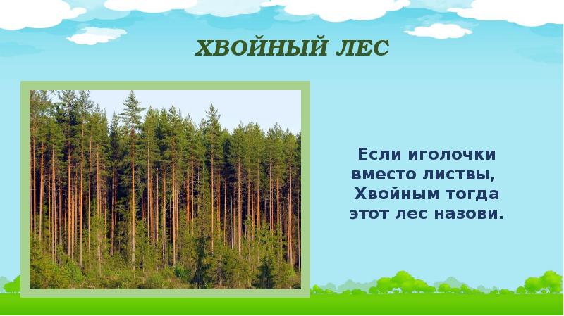 Почему лес называется. Почему лес называют сообществом 2 класс. Почему лес называют лёгкими нашей планеты. Почему лес называют природным сообществом. Почему лес называется.