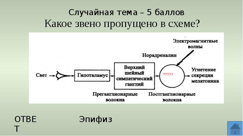 Случайная тема для проекта