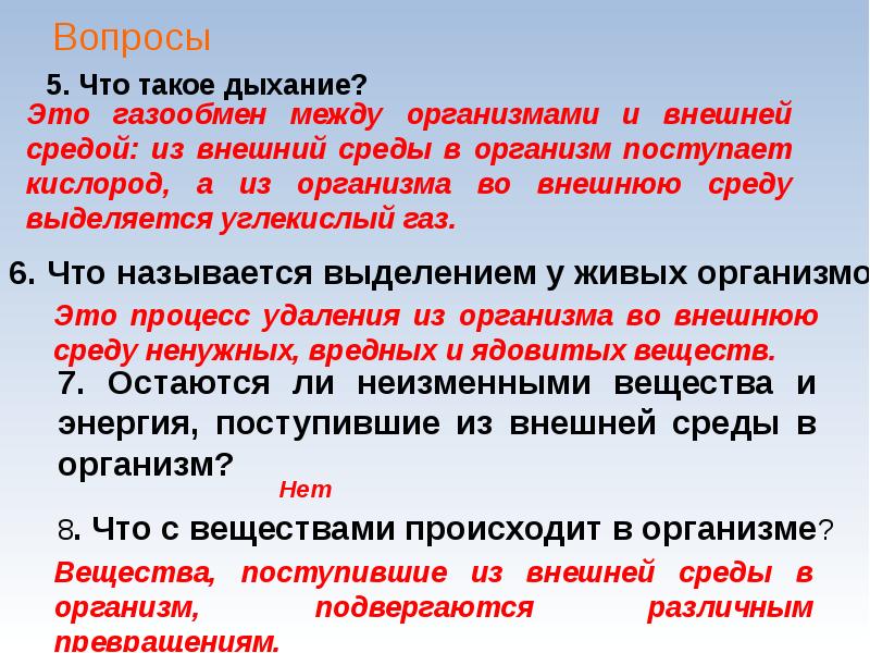 Что такое дыхание. Газообмен между внешней средой и организмом. Внешнее дыхание это газообмен между. Что получает организм из внешней среды. Дыхание текст.