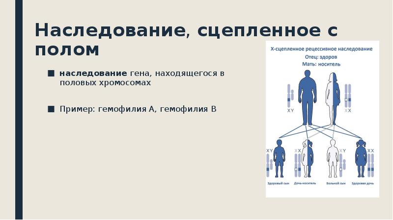 Сцепленные признаки. Сцепленное с полом наследование наследование гемофилии. Наследование сцепленное с полом Психогенетика. Наследование сцепленное с полом гемофилия. Дальтонизм наследование сцепленное с полом.