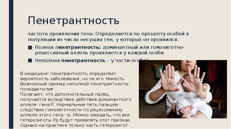 Проявление генов в онтогенезе презентация 10 класс