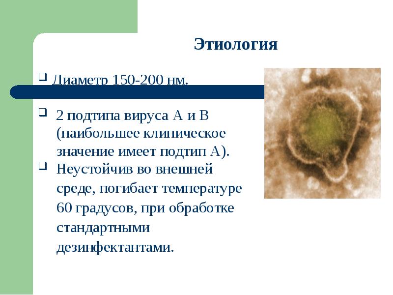 Эпштейна барра вирусная инфекция что. Вирус Эпштейна-Барр распространенность. Вирус Эпштейна - Барр вирусы. Вирус Эпштейна-Барр этиология.