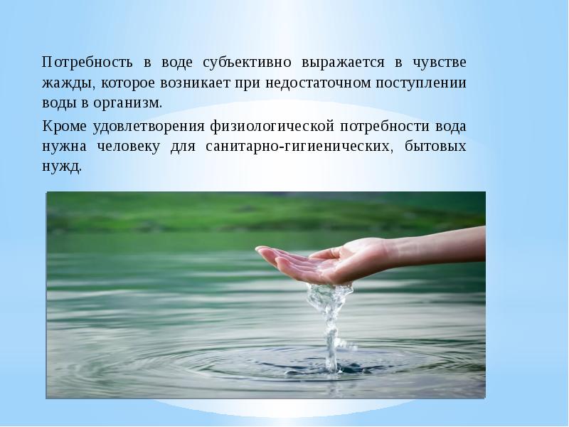 Роль воды в жизнедеятельности человека. Водные организмы. Водный баланс в организме. Какова потребность в воде организма.