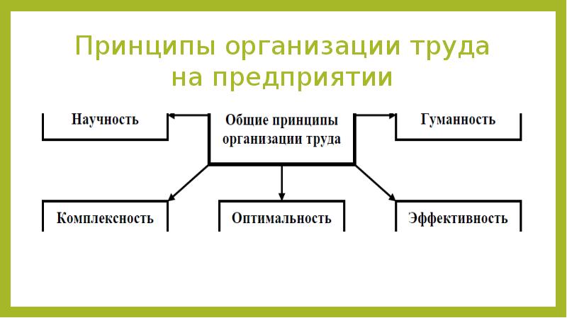 Высший принцип организации