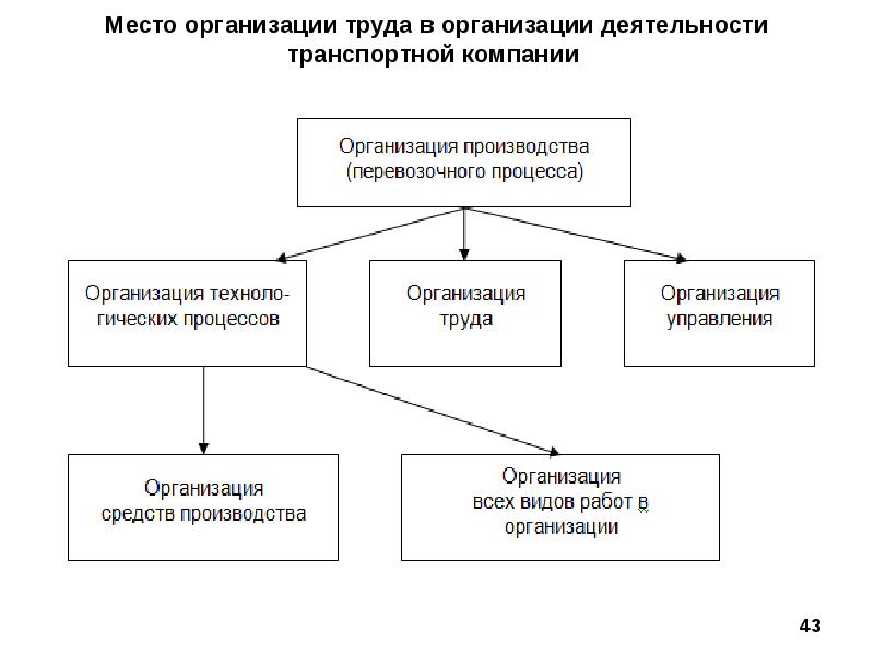 Организация места труда. Показатели организации труда. Место организации труда в системе организации производства.. Схема области организации труда.. Виды деятельности транспортной компании.