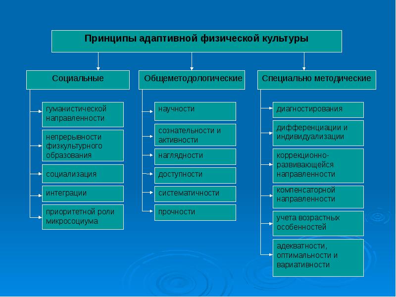 Адаптивная физическая культура учебный план