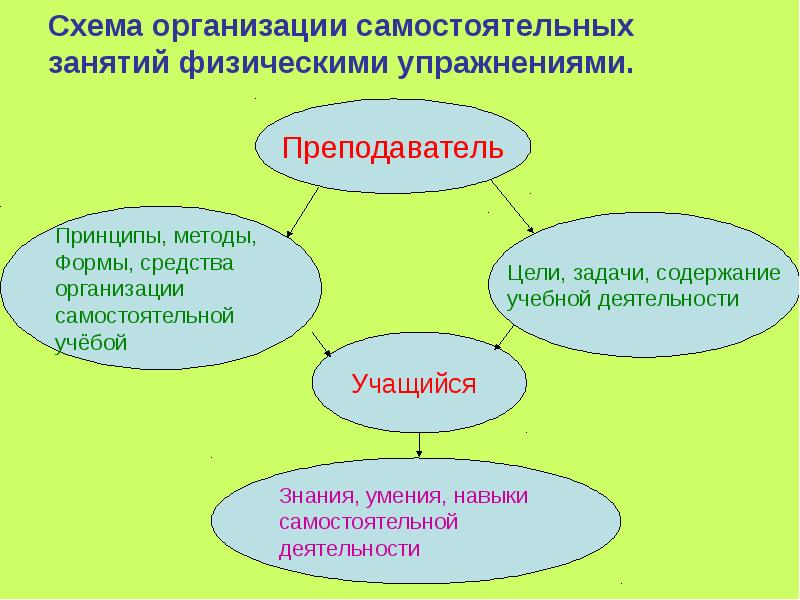 Реферат на тему формы занятий физическими упражнениями