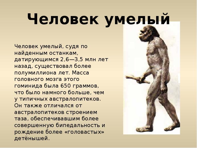 Развития человека презентация. Человек умелый доклад. Человек умелый презентация. Эволюция человека человек умелый. Презентация на тему человек умелый.