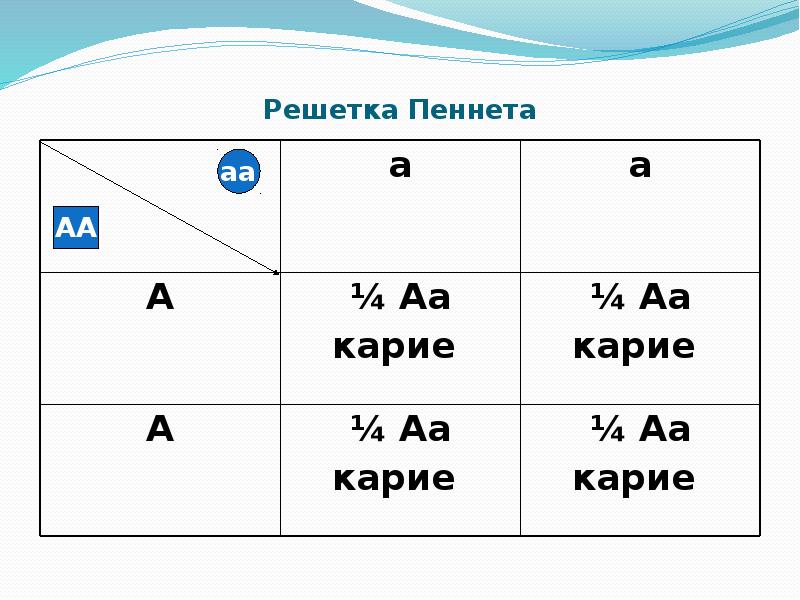 Схема построения решетки пеннета