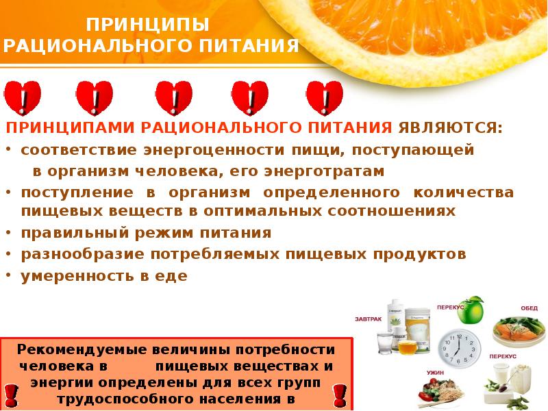 Основные принципы рационального питания