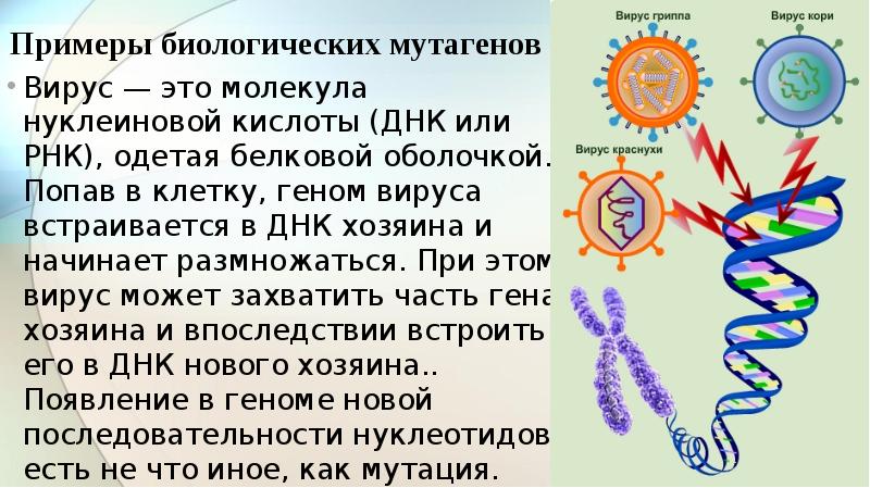 Где получить образец мутагена