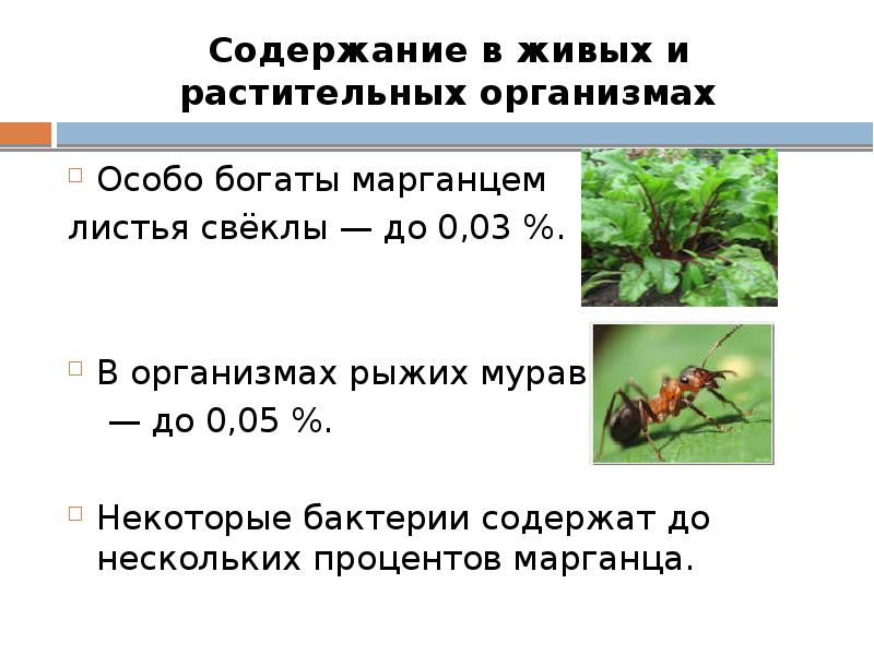 Презентация соединения марганца