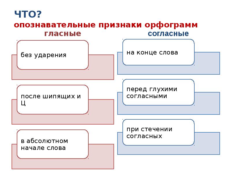 Принципы обучения русскому языку