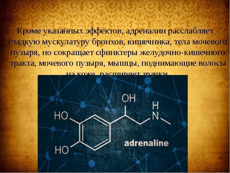 Презентация на тему адреналин