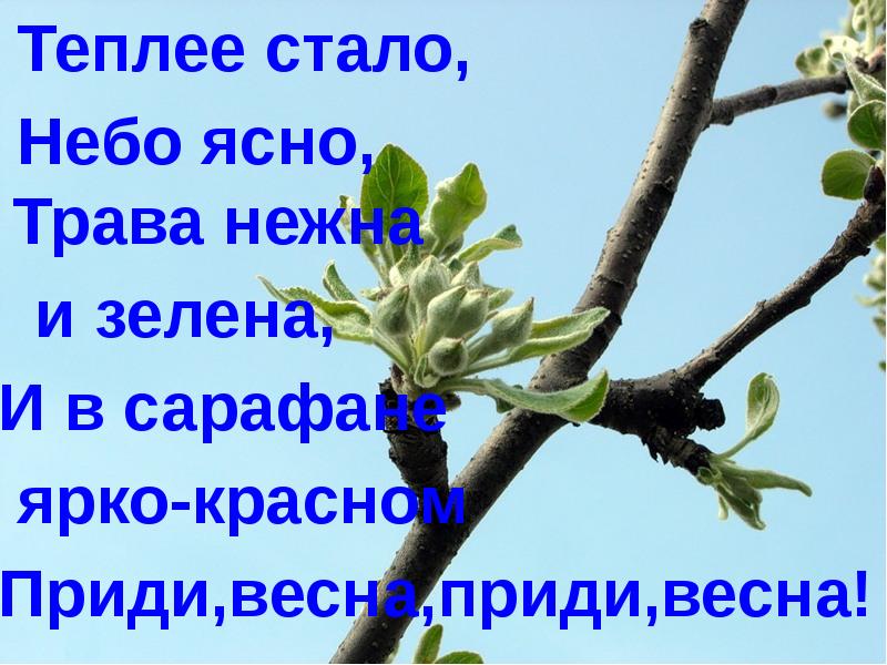 Тепло ясно. Пришла Весна красная пришла Весна Ясная. Твой час настал, апрель, апрель!. Весна пришла Бом слив. Весна красна ты на чем пришла на хомутике.