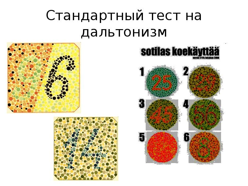 Презентация генетика пола 10 класс биология