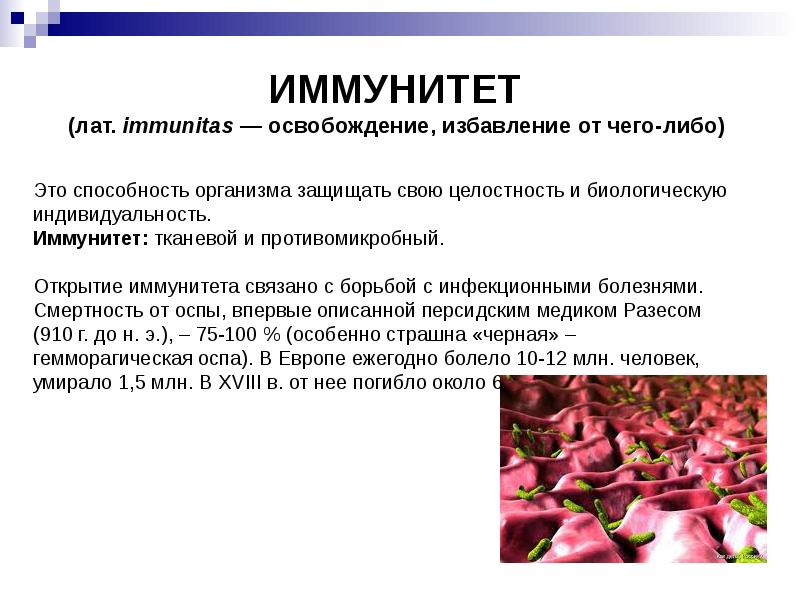 Иммунитет презентация