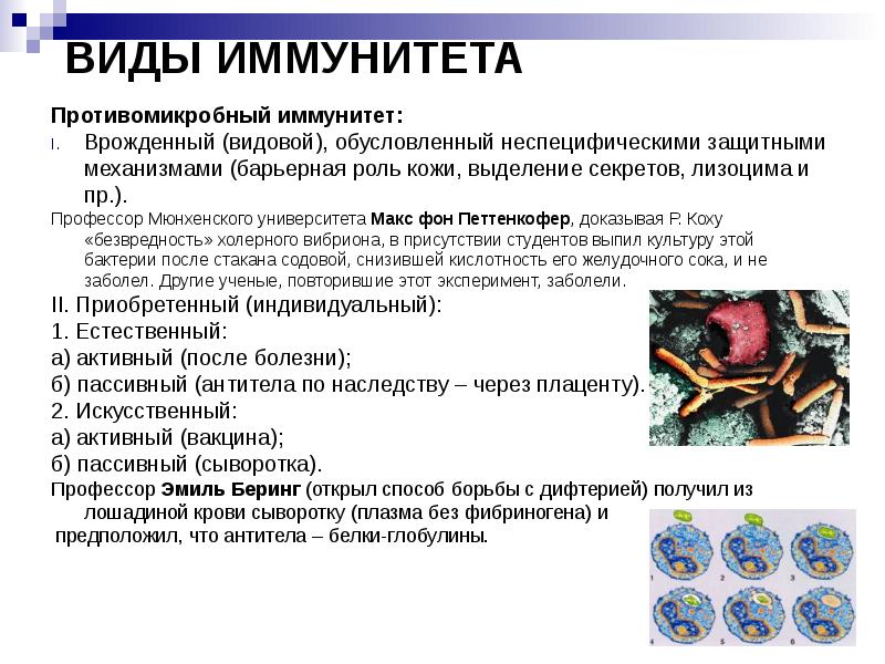 Иммунитет презентация 11 класс