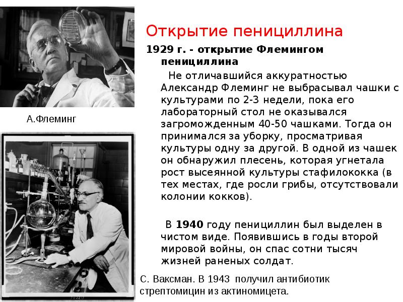 Открытие пенициллина флемингом. Открытие пенициллина флемингом. Открытие пенициллина флемингом. Антибиотики пенициллин флеминг. Флеминг пенициллин 1928.