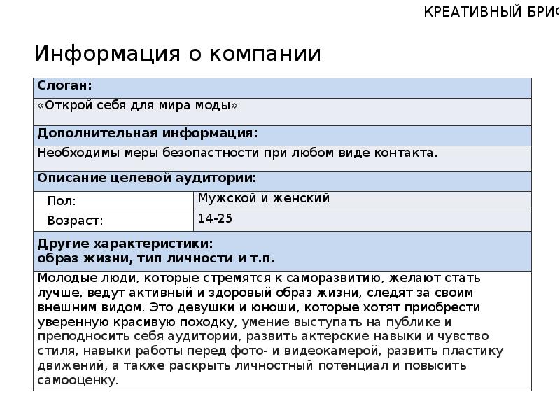 Бриф по проекту