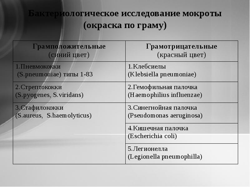 Общий анализ мокроты картинки