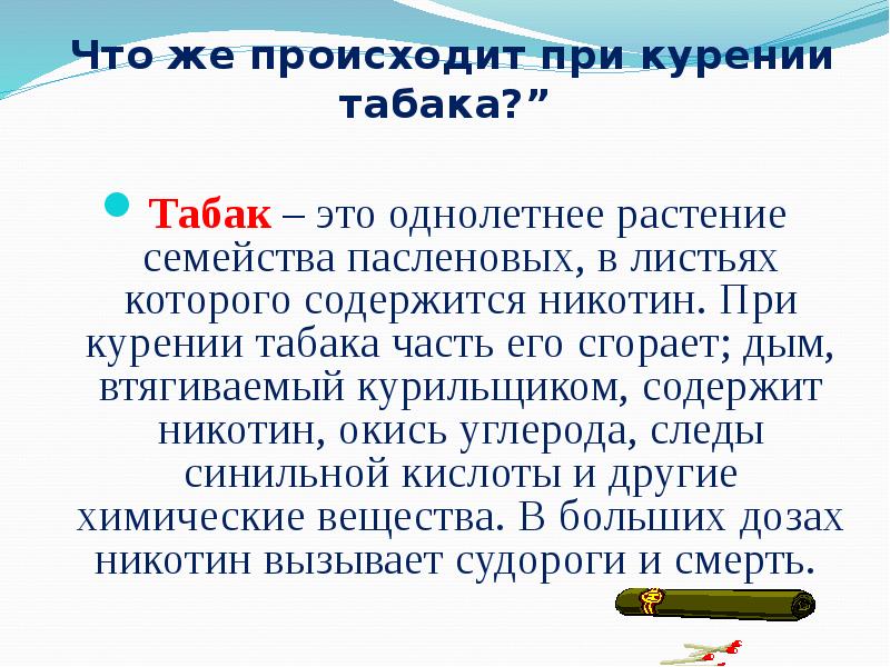 Проект это презентация или нет