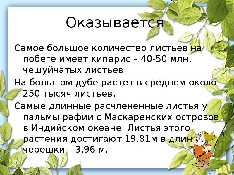 1000 листьев. Доклад на темы тысяча листиков. Листья самого крупного цветкового растения. Тысяча листьев. Тысяча листиков столько.