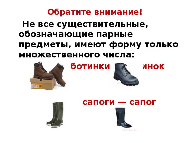 Имена существительные которые имеют форму только множественного числа 5 класс презентация