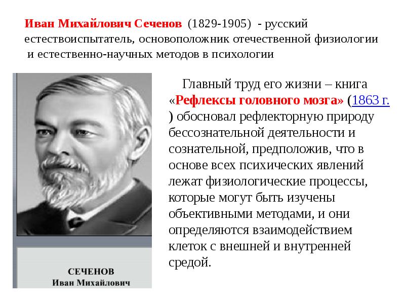 Основной вклад ивана. Иван Михайлович Сеченов биология. Русский ученый Иван Михайлович Сеченов. Иван Михайлович Сеченов (1829 – 1905) вклад. Сеченов Иван Михайлович психология труда.