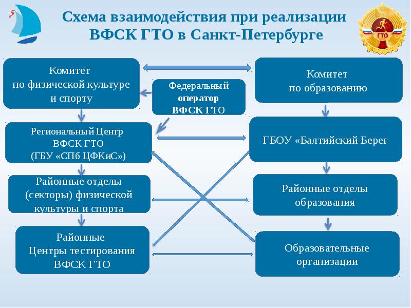 Комитеты города санкт петербурга. Комитет по культуре Санкт-Петербурга структура. Организационная структура комитета комитета по спорту. Структура комитета по физической культуре и спорту. Комитет физической культуры и спорта Санкт-Петербурга.