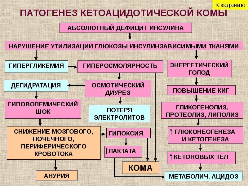 Патогенетические методы коррекции гипергликемии схема