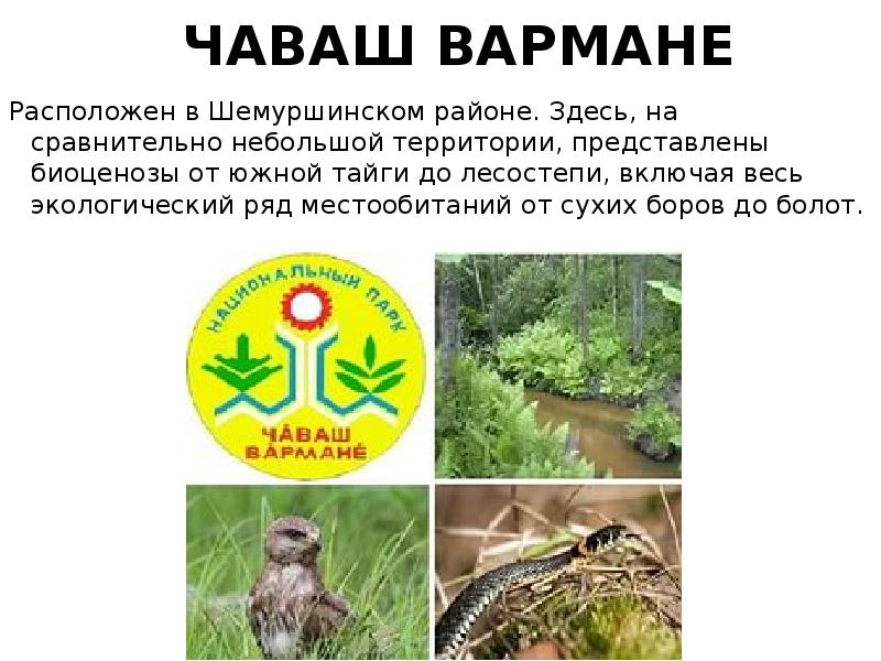 Нац парк чаваш вармане