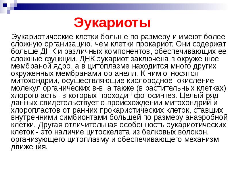 Эукариоты    Эукариотические клетки больше по размеру и имеют