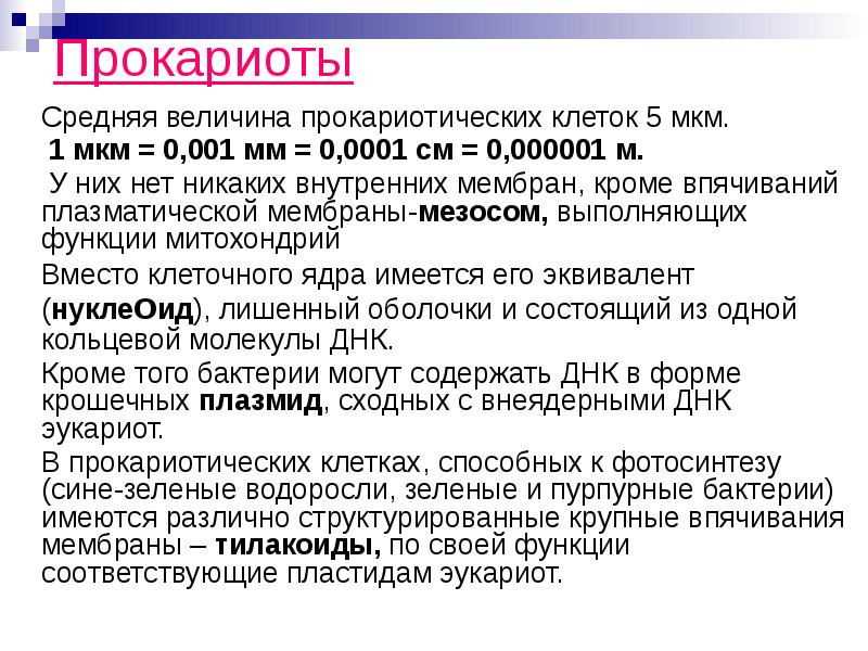 Прокариоты &nbsp;&nbsp; &nbsp;Средняя величина прокариотических клеток 5 мкм.   