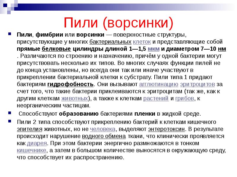 Пили (ворсинки) Пили,&nbsp;фимбрии&nbsp;или&nbsp;ворсинки&nbsp;— поверхностные структуры, присутствующие у многих&nbsp;бактериальных&nbsp;клеток&nbsp;и представляющие собой прямые&nbsp;белковые