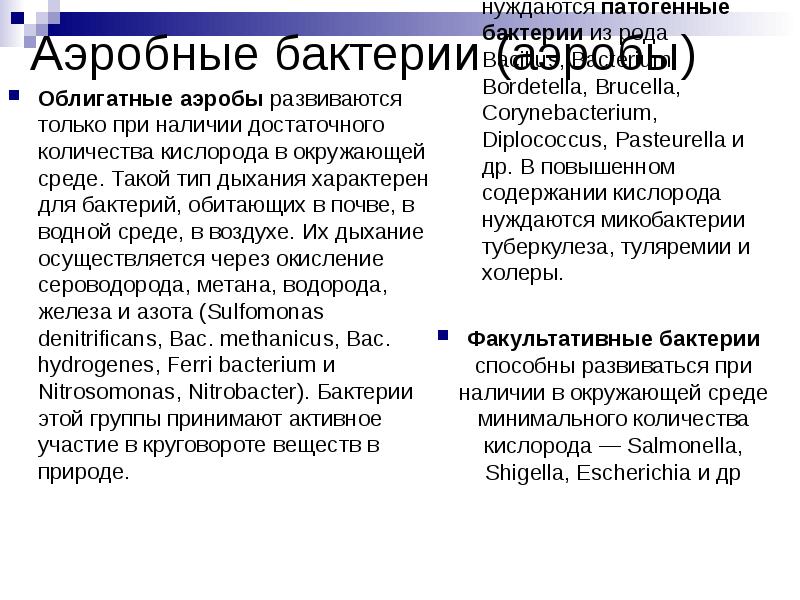 Аэробные бактерии (аэробы)  Облигатные аэробы развиваются только при наличии достаточного