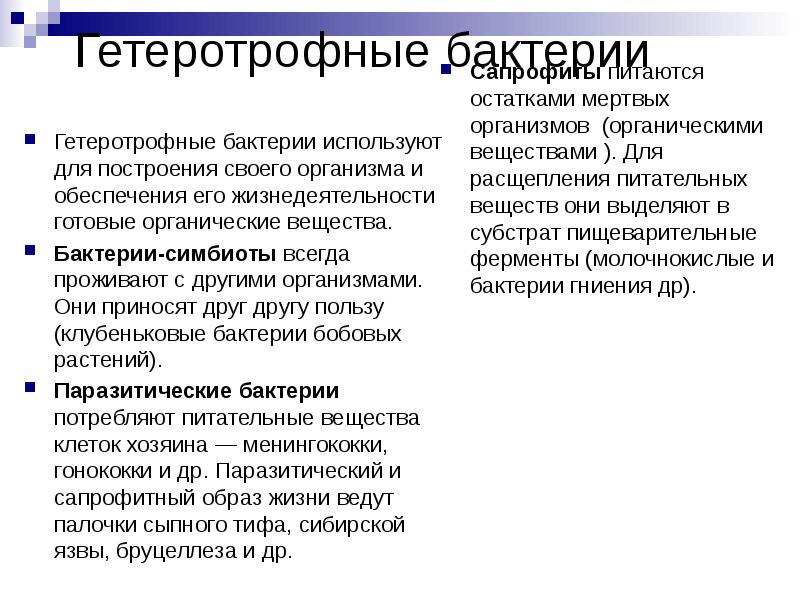 Гетеротрофные бактерии  Гетеротрофные бактерии используют для построения своего организма и