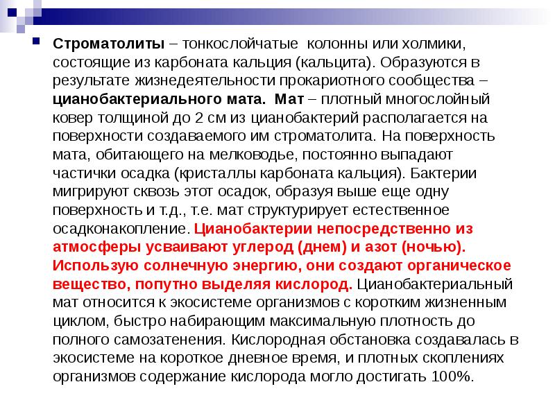 Строматолиты – тонкослойчатые колонны или холмики, состоящие из карбоната кальция (кальцита).