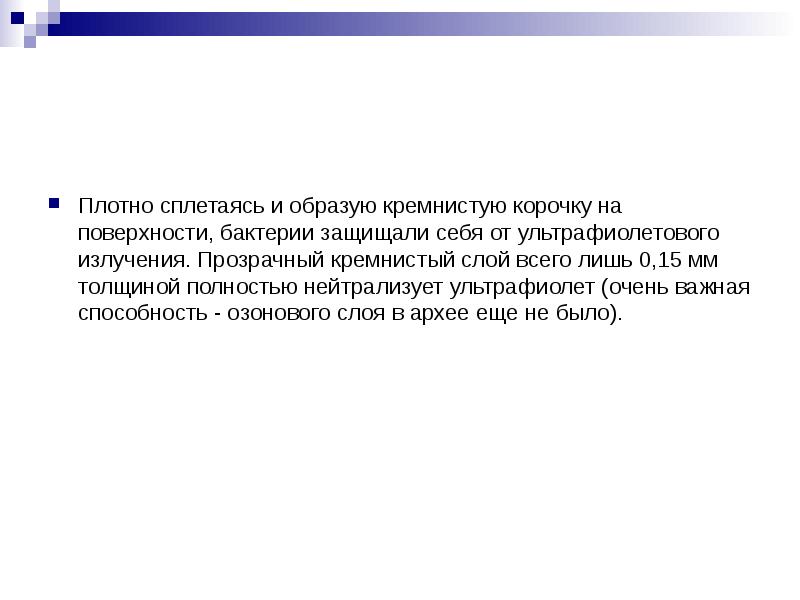Плотно сплетаясь и образую кремнистую корочку на поверхности, бактерии защищали себя