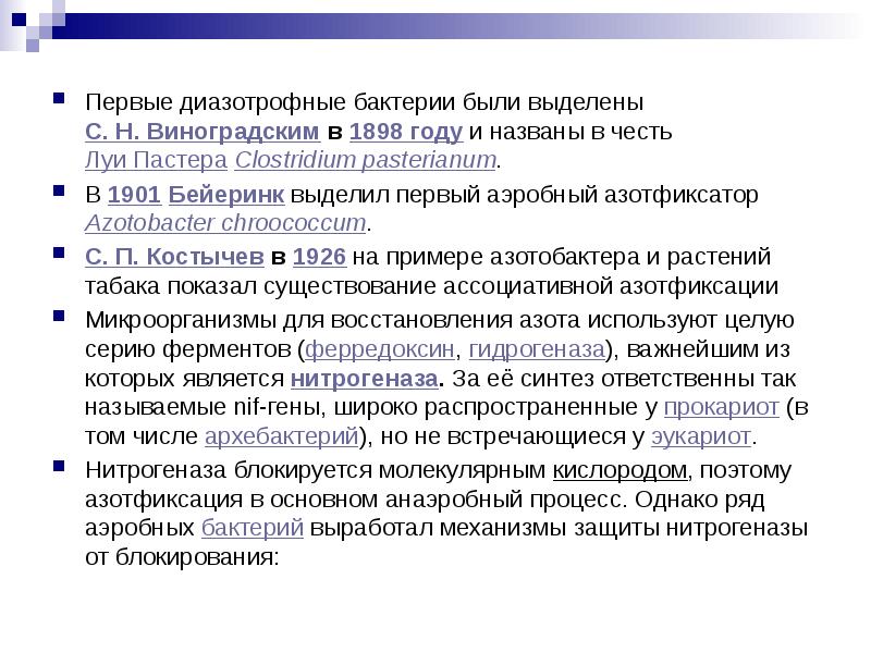 Первые диазотрофные бактерии были выделены      