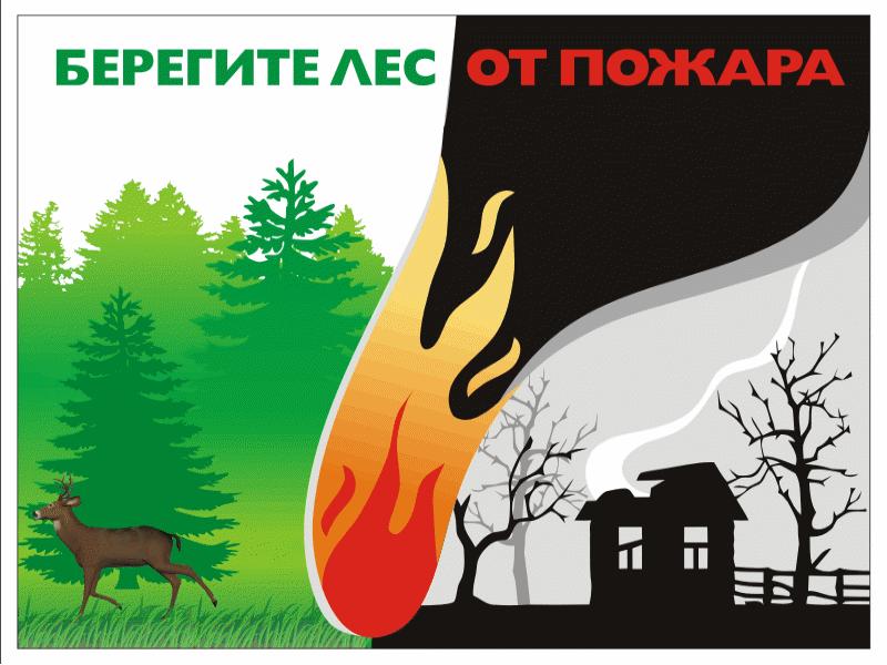 Картинки на тему берегите лес от пожара