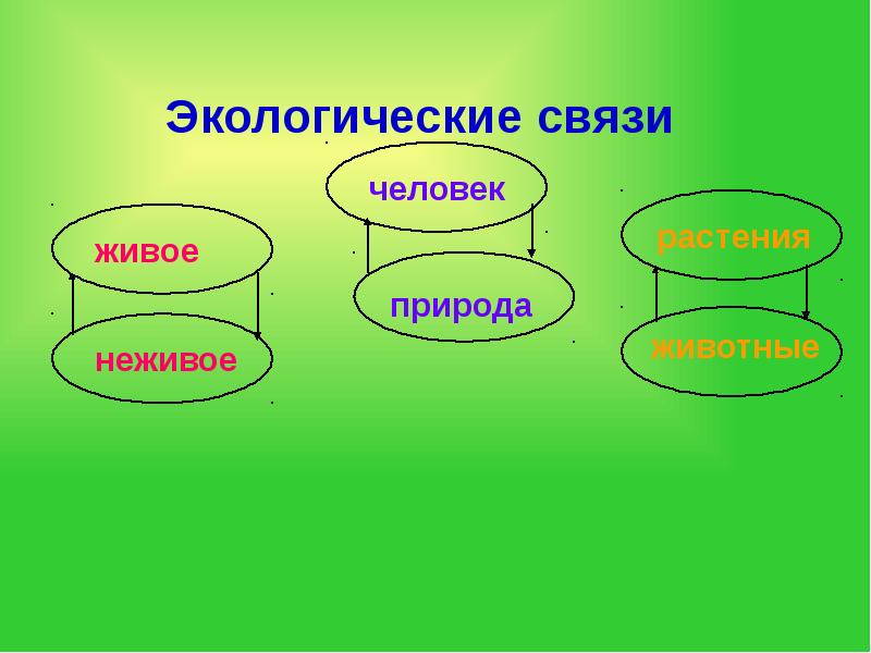 Человек живая природа 2. Экологические связи в природе. Примеры экологических связей. Экологические связи в природе живое. Схема экологической связи.